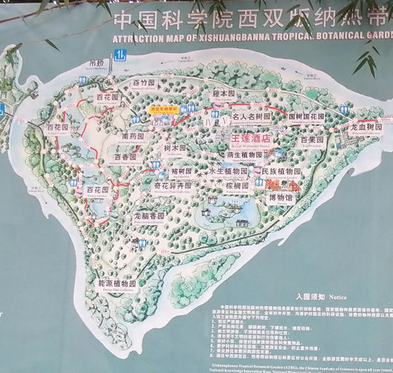 �Ї��ƌW(xu��)Ժ���p��{�Ꭷֲ��@��(d��o)�[�D